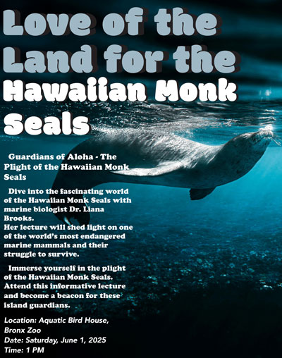 Monk Seals